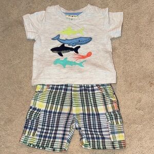 Shark Graphic Tee and Plaid Shorts Set 3 months